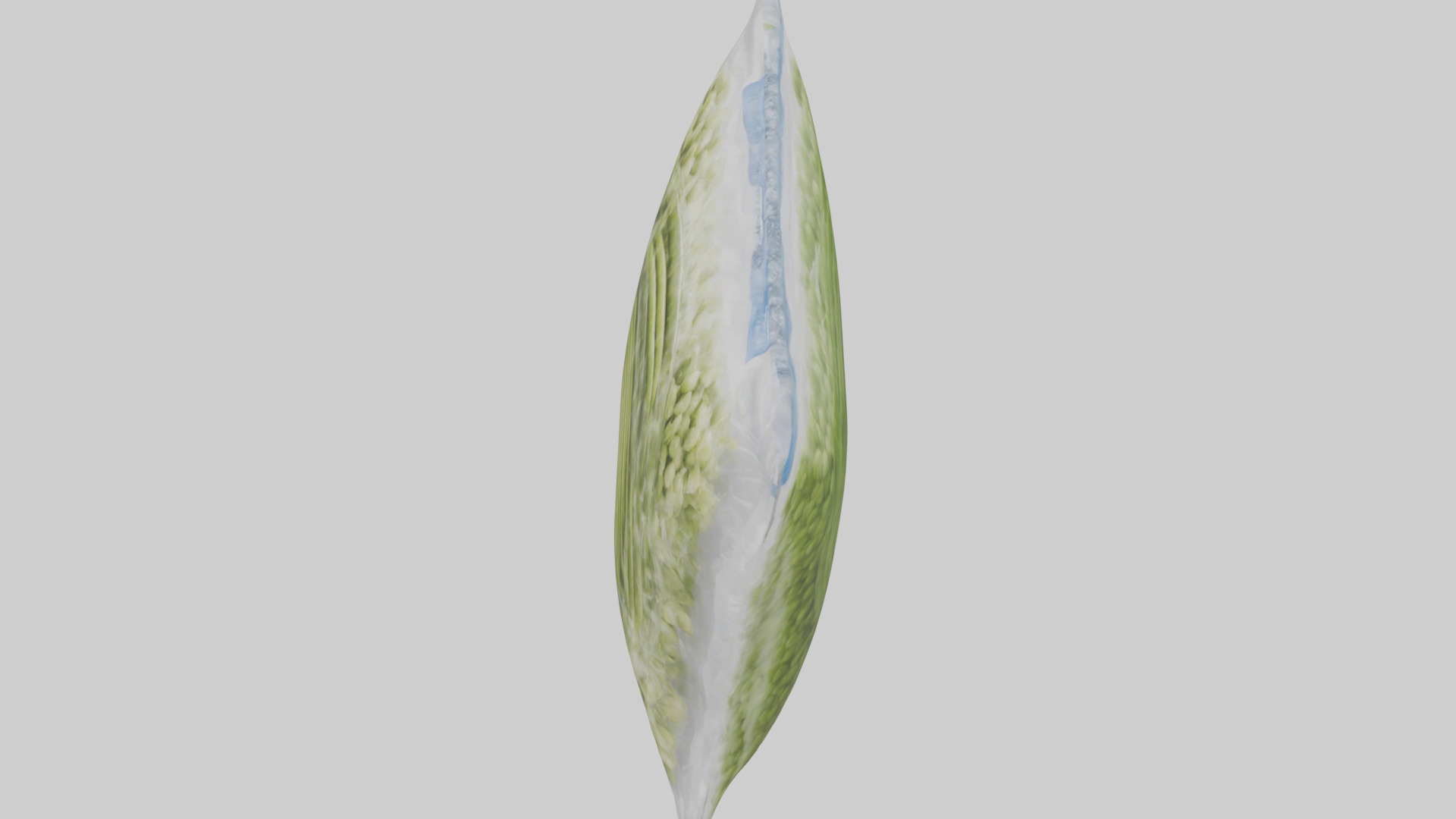 Frozen Vegetables Pack model 3D model_17