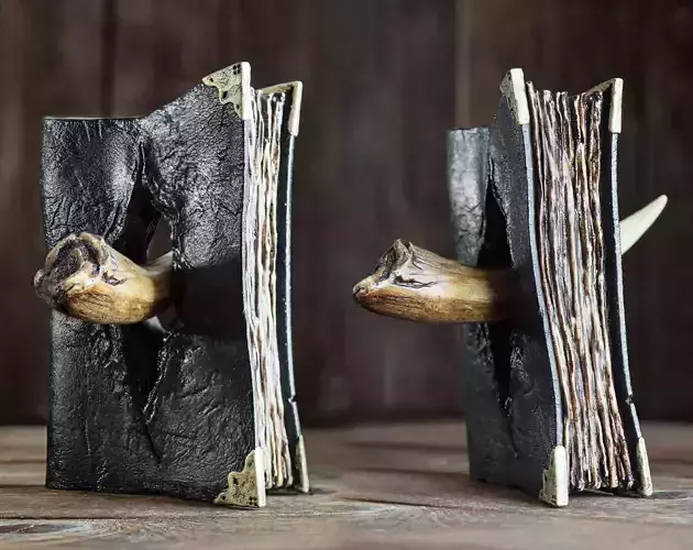The Diary and Basilisk Fang  Special Design - Harry P Inspired 3D print model