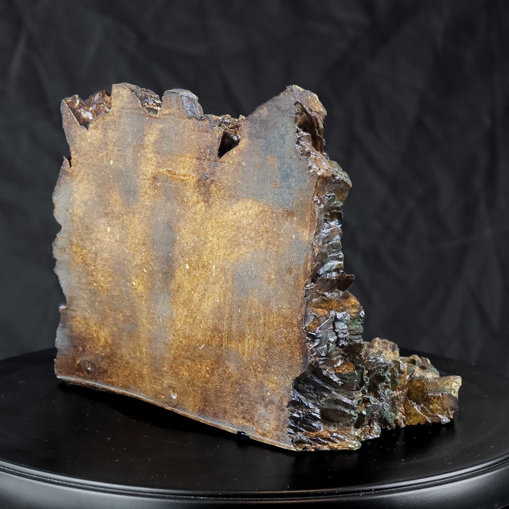 Chamber of Secrets Snake Gate - Harry Potter Inspired 3D print model_13