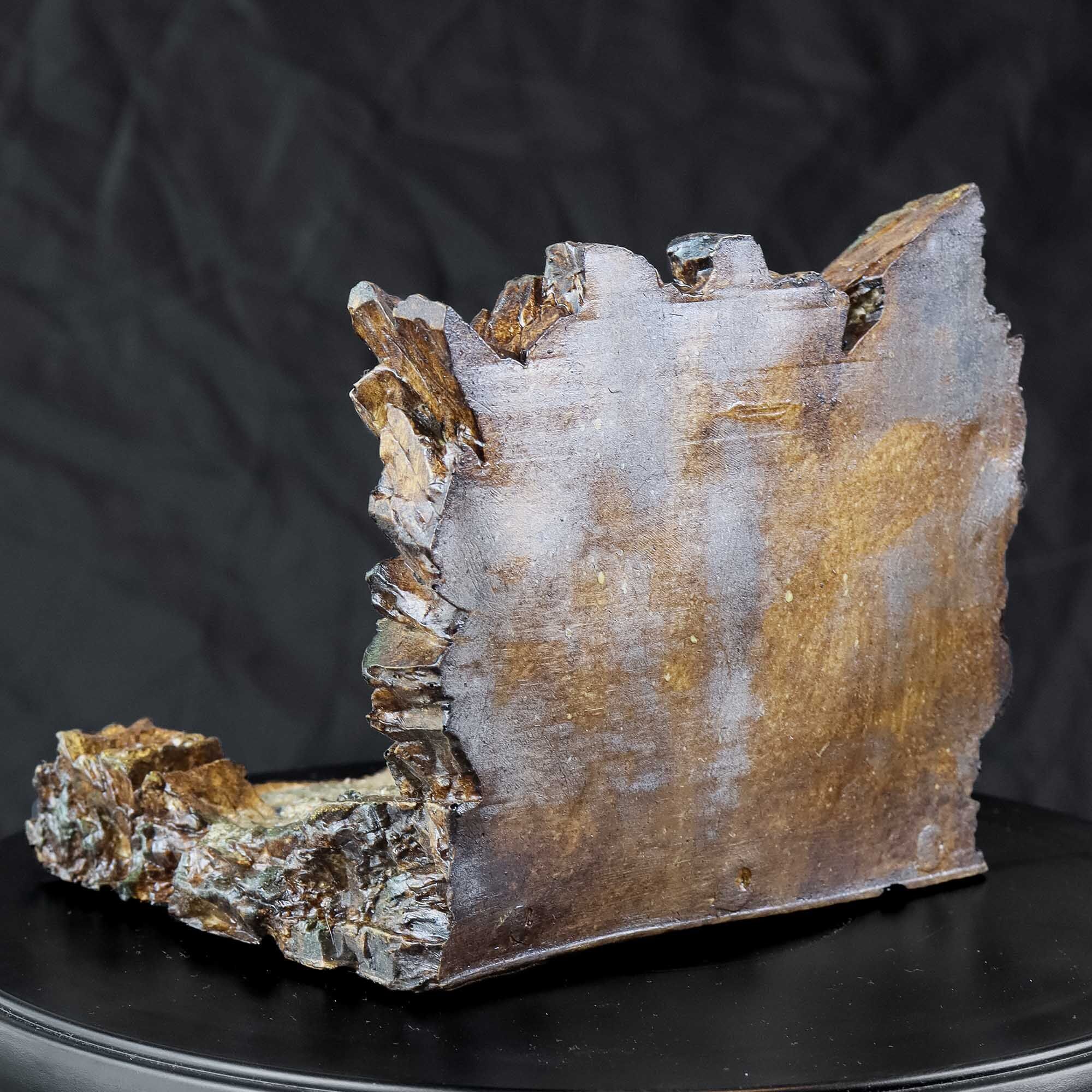 Chamber of Secrets Snake Gate - Harry Potter Inspired 3D print model_12