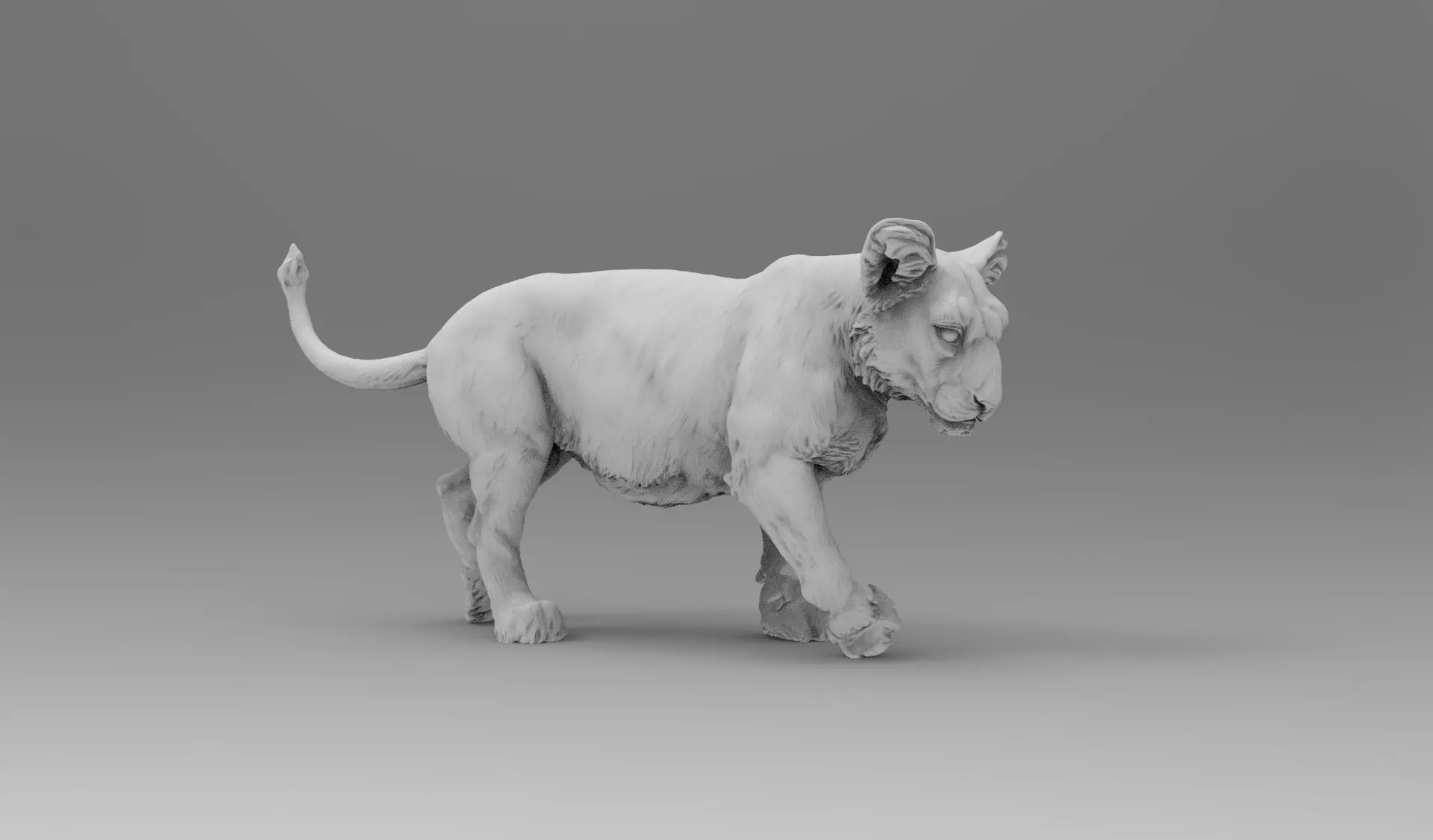baby lion 3D model_0