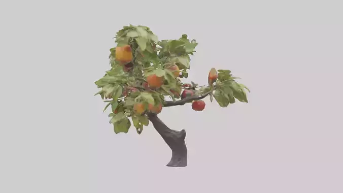 Fruit Bearing Branch Statue model