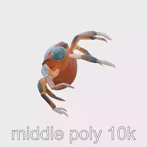 Detailed Parasite Tick Educational Model Low-poly 3D model