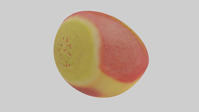 Fruit Slice model 3D model 3