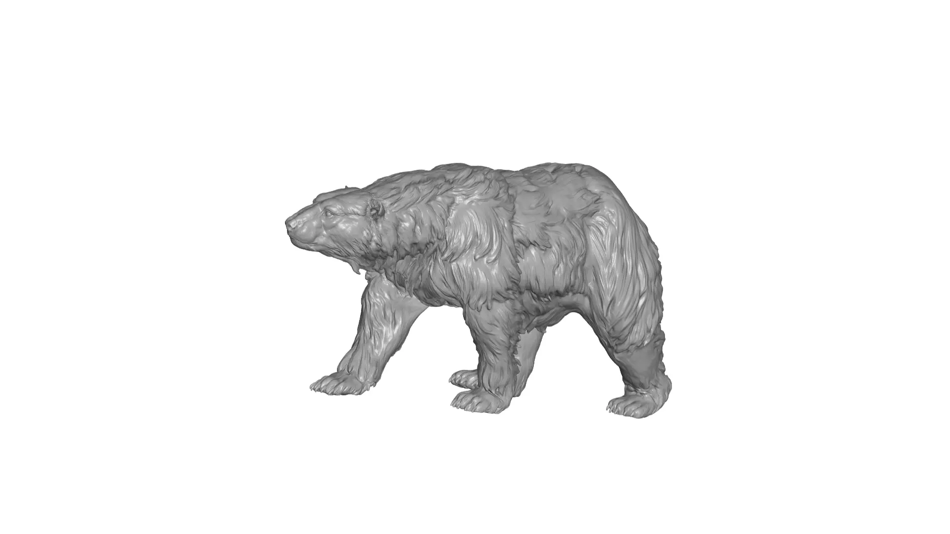bear 5 3D model
