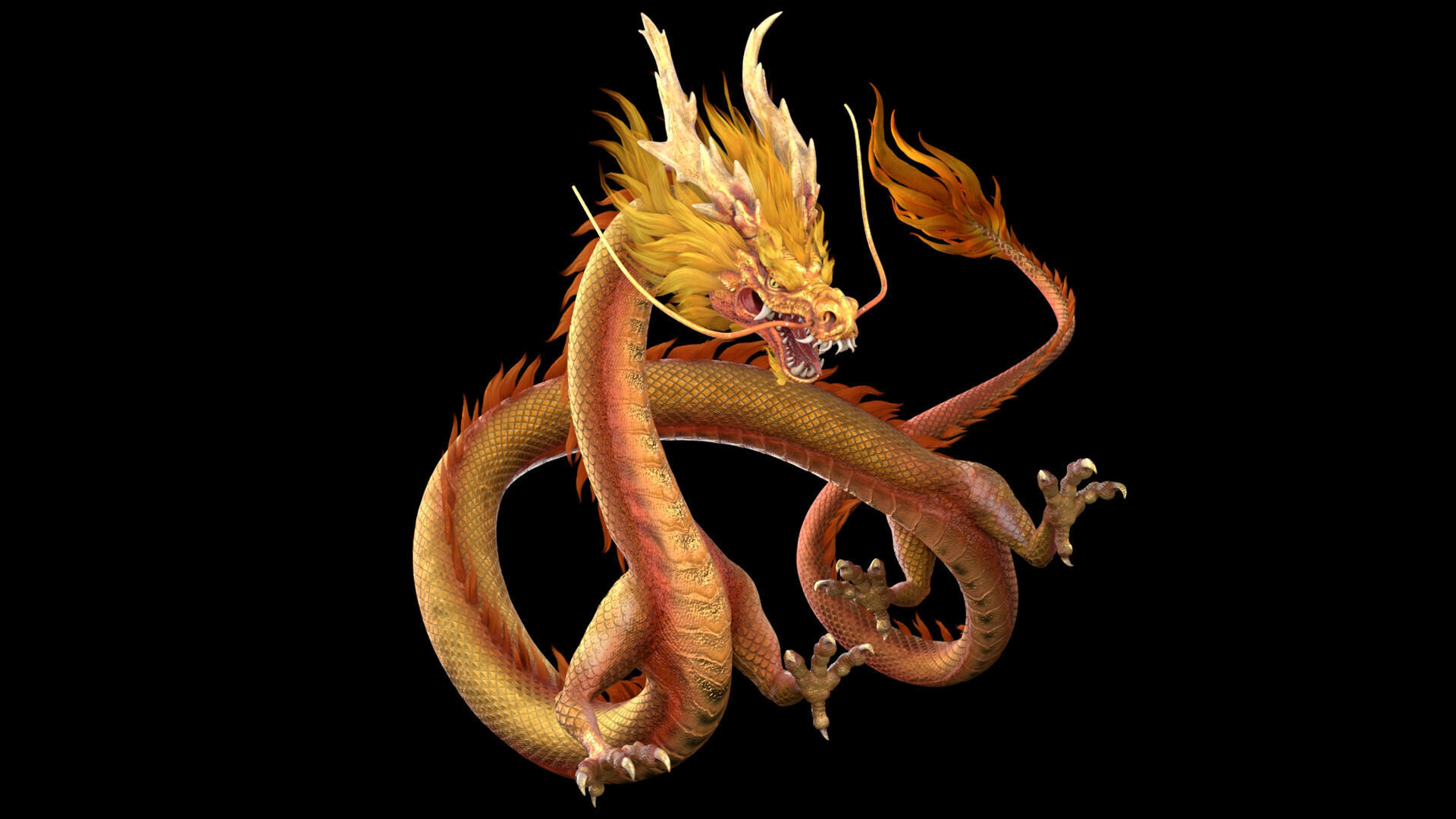 dragon ChineseDragon loong 3D model_2