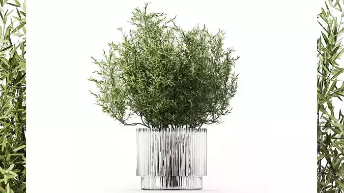 Bouquet in a glass vase of olive branches 503
