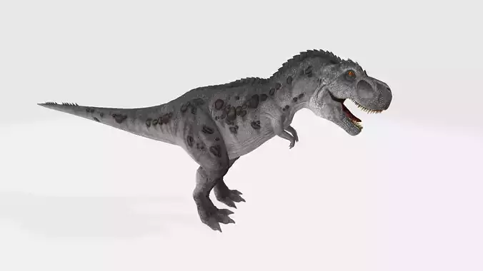  t Rex  3D model