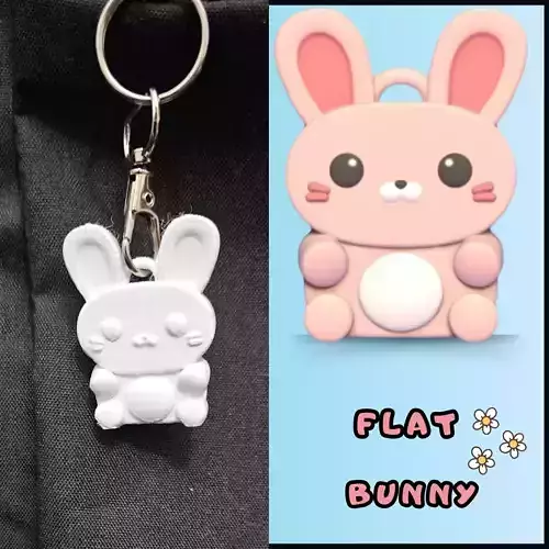 Flat Bunny