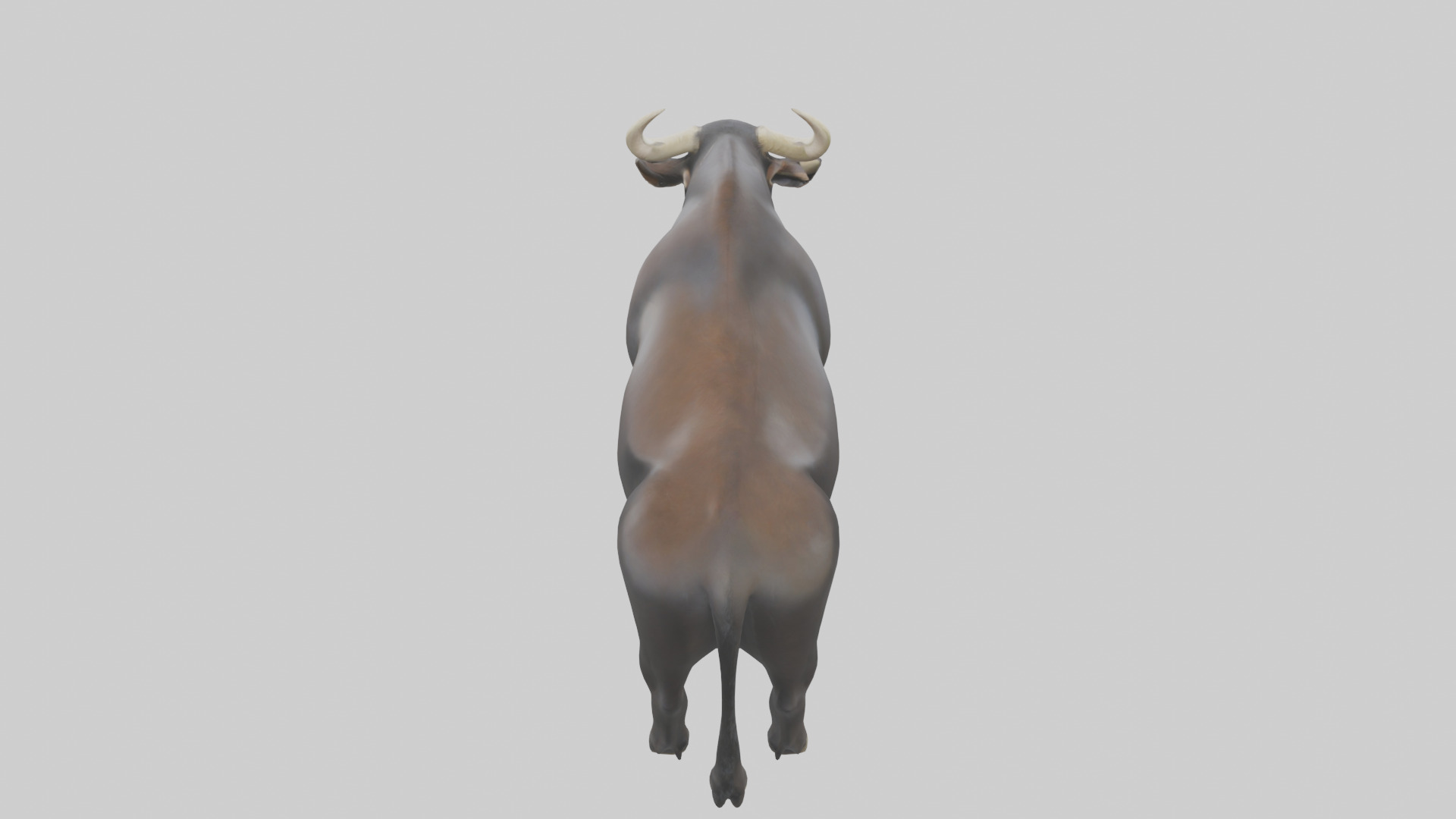 Gaur grazing model 3D model_15