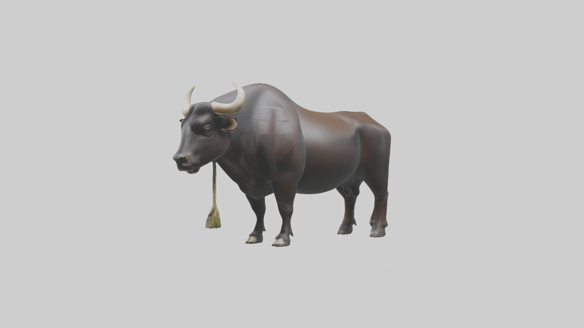 Gaur grazing model 3D model_10