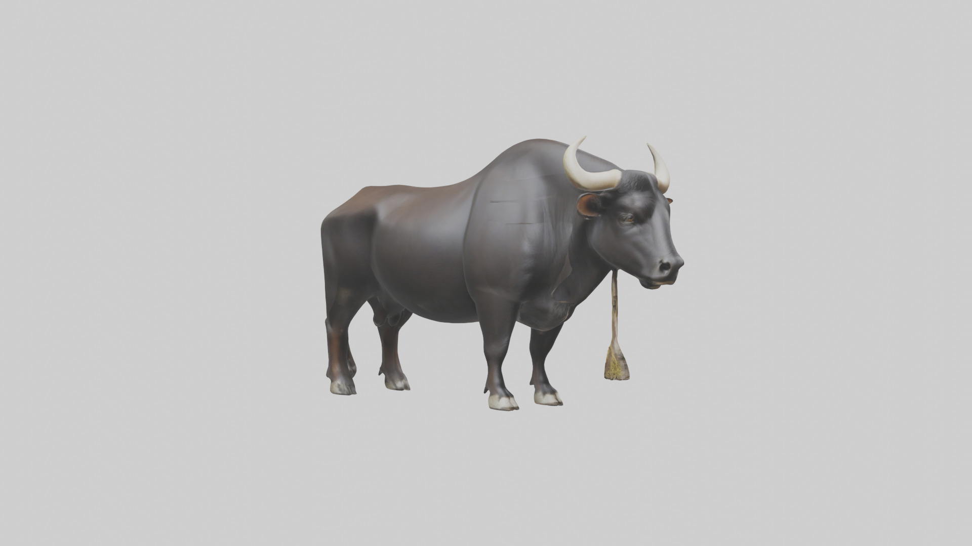 Gaur grazing model 3D model_11