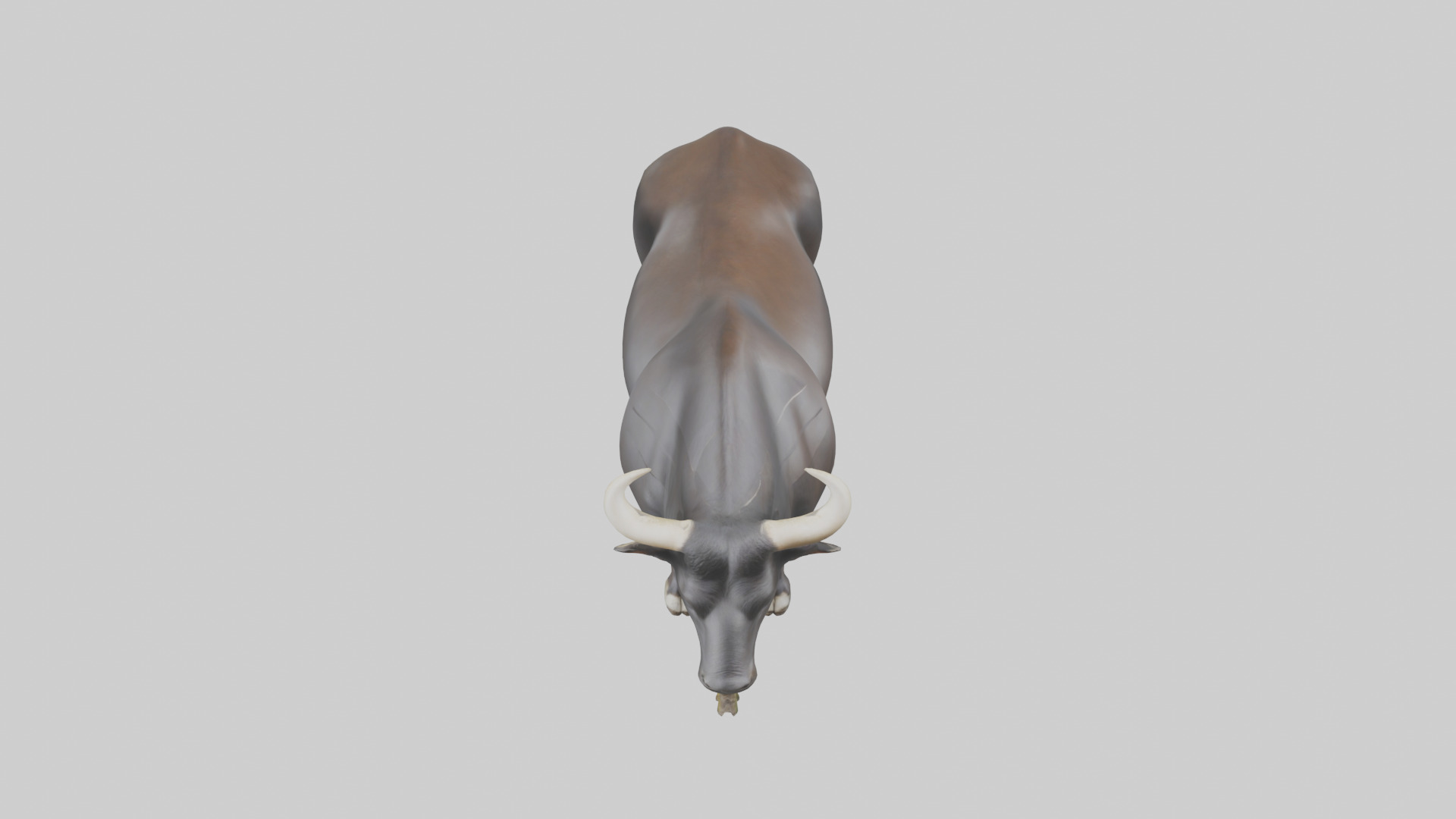 Gaur grazing model 3D model_16