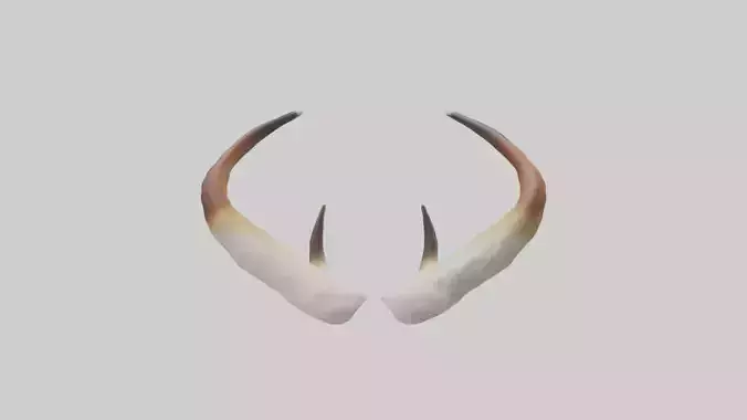 Gazelle Antlers Model