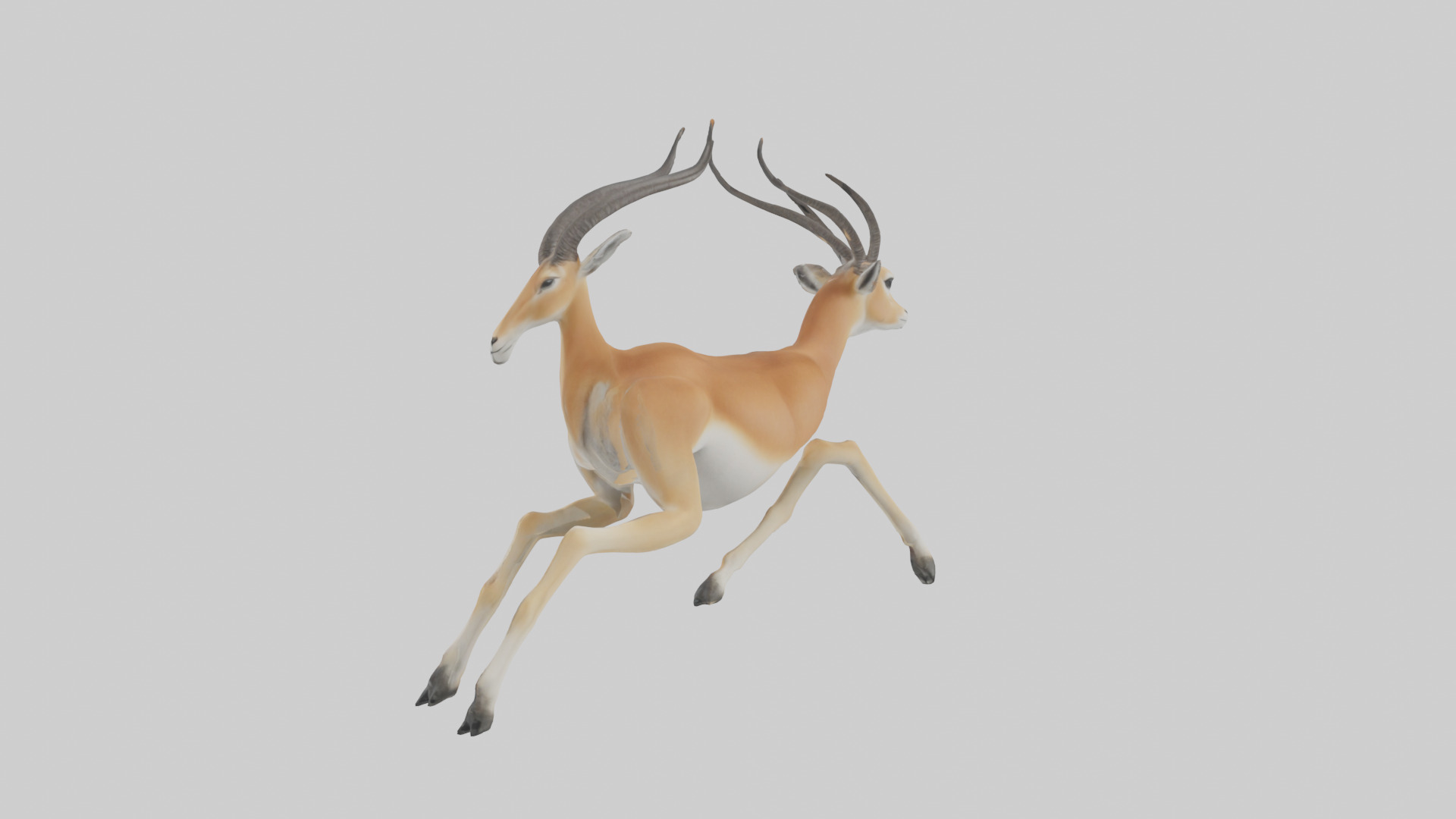 Gazelle running model 3D model_1