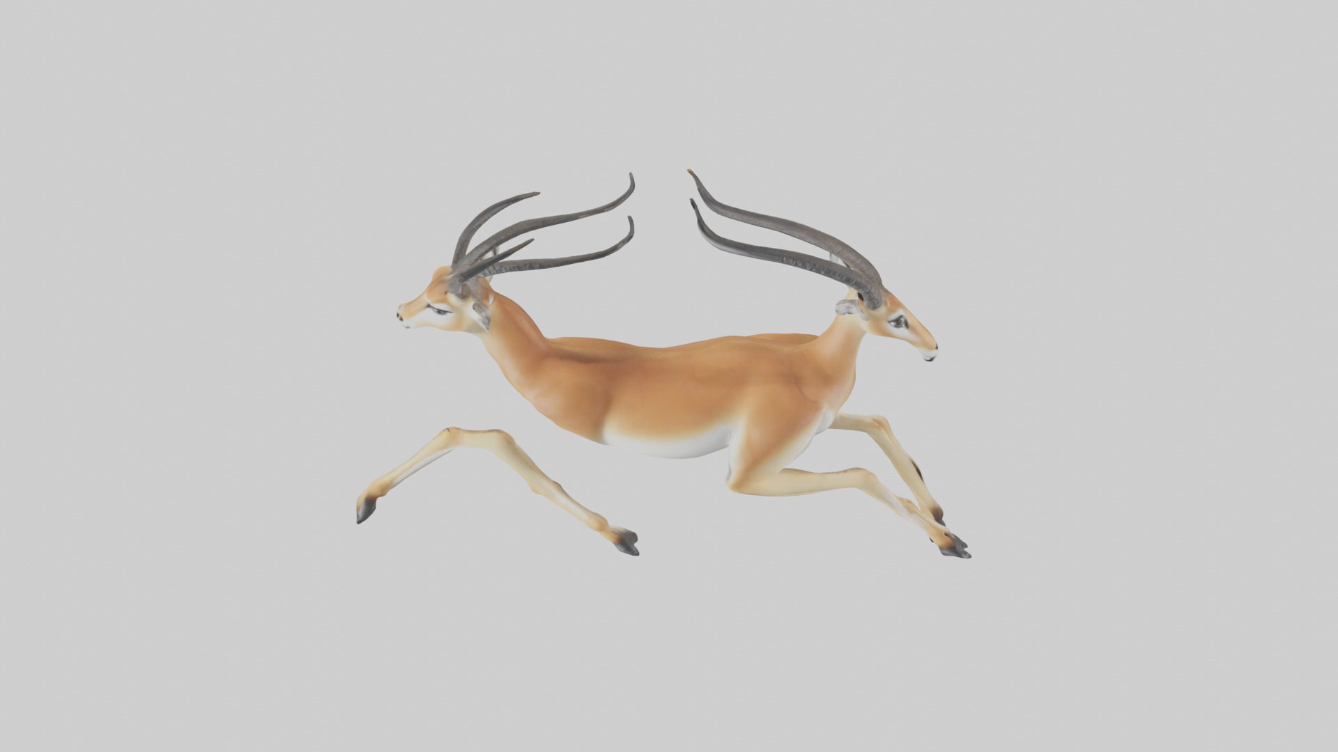 Gazelle running model 3D model_16