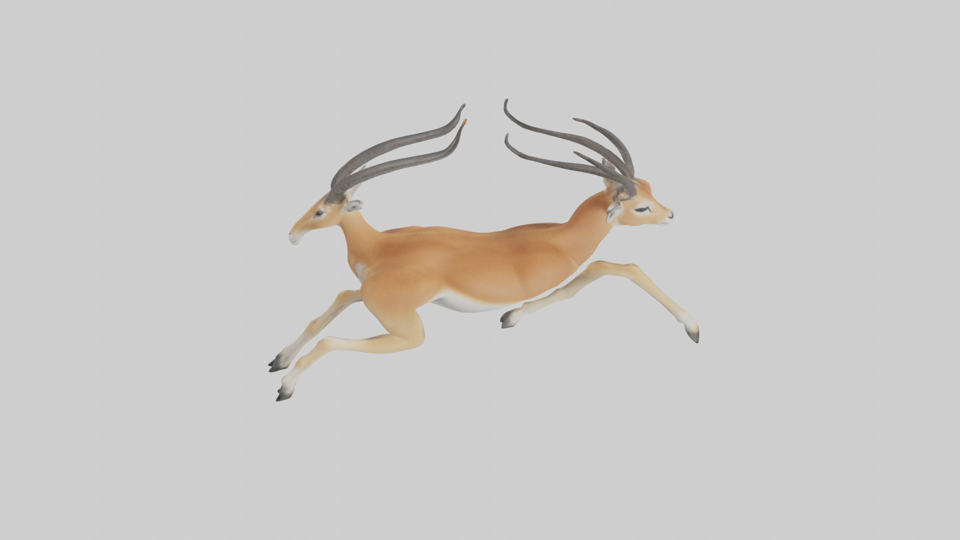 Gazelle running model 3D model_15