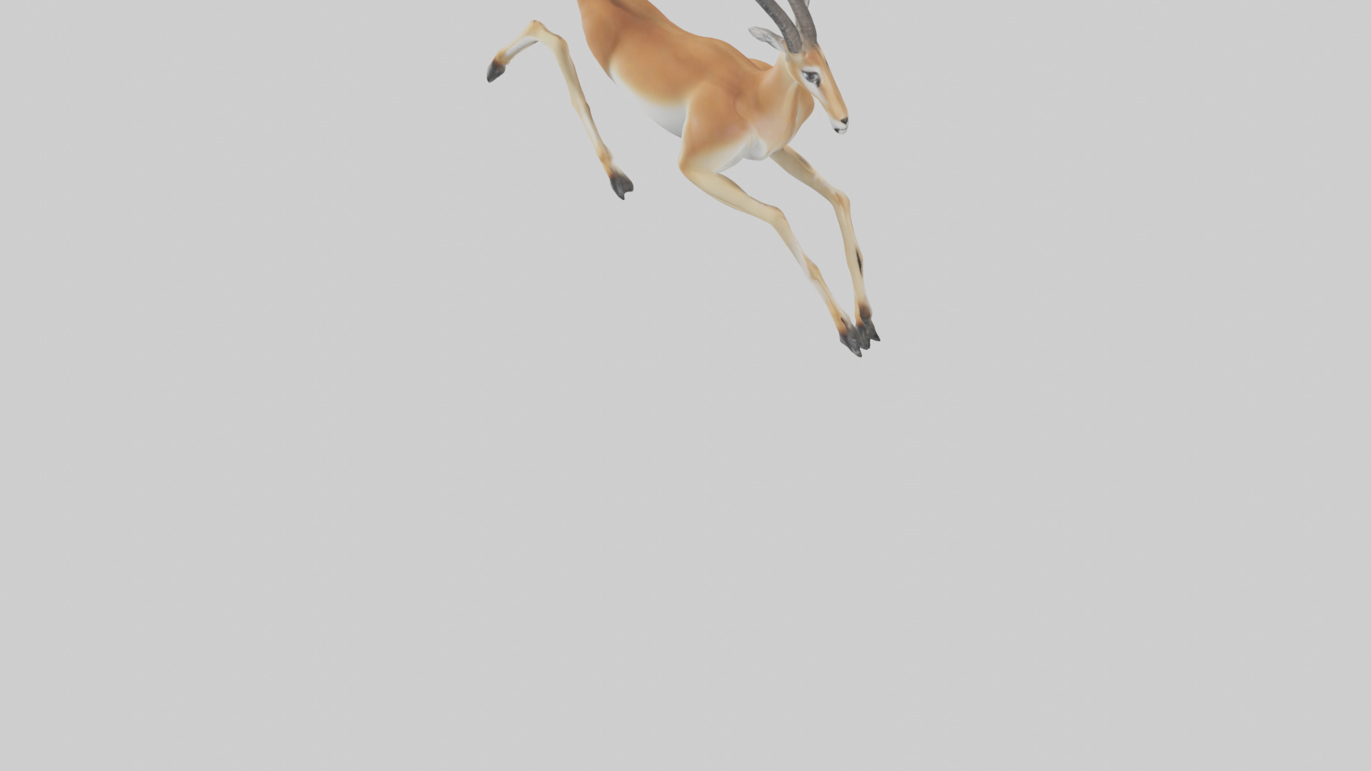 Gazelle running model 3D model_5