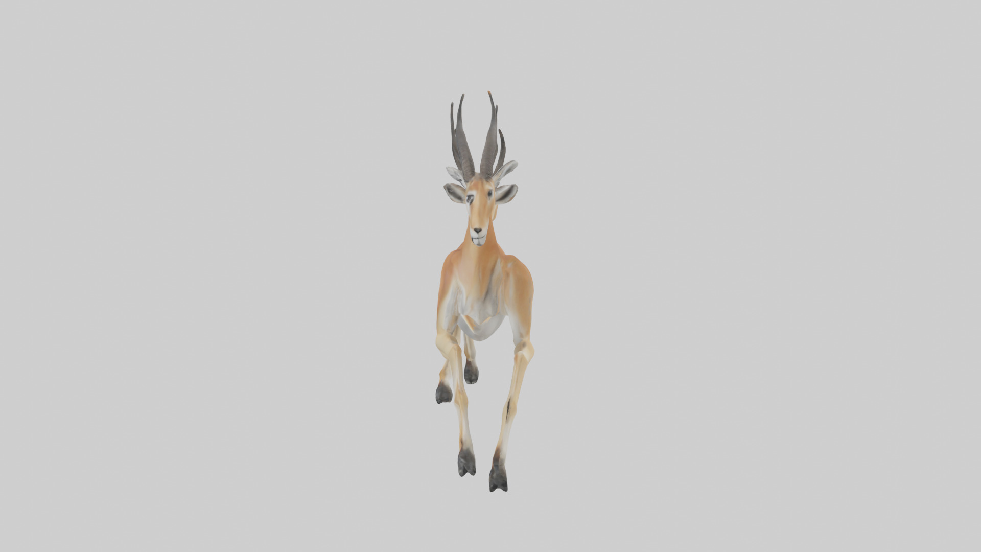 Gazelle running model 3D model_12