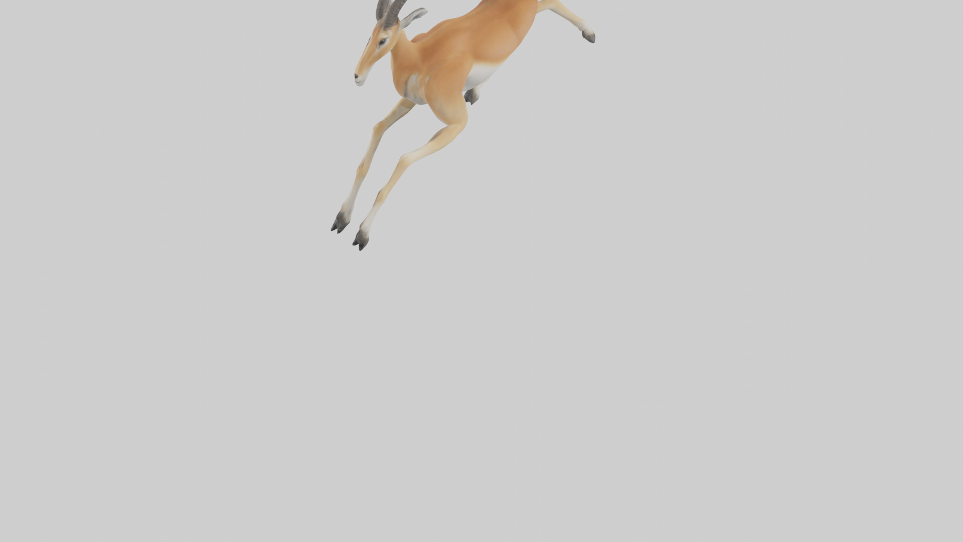 Gazelle running model 3D model_3