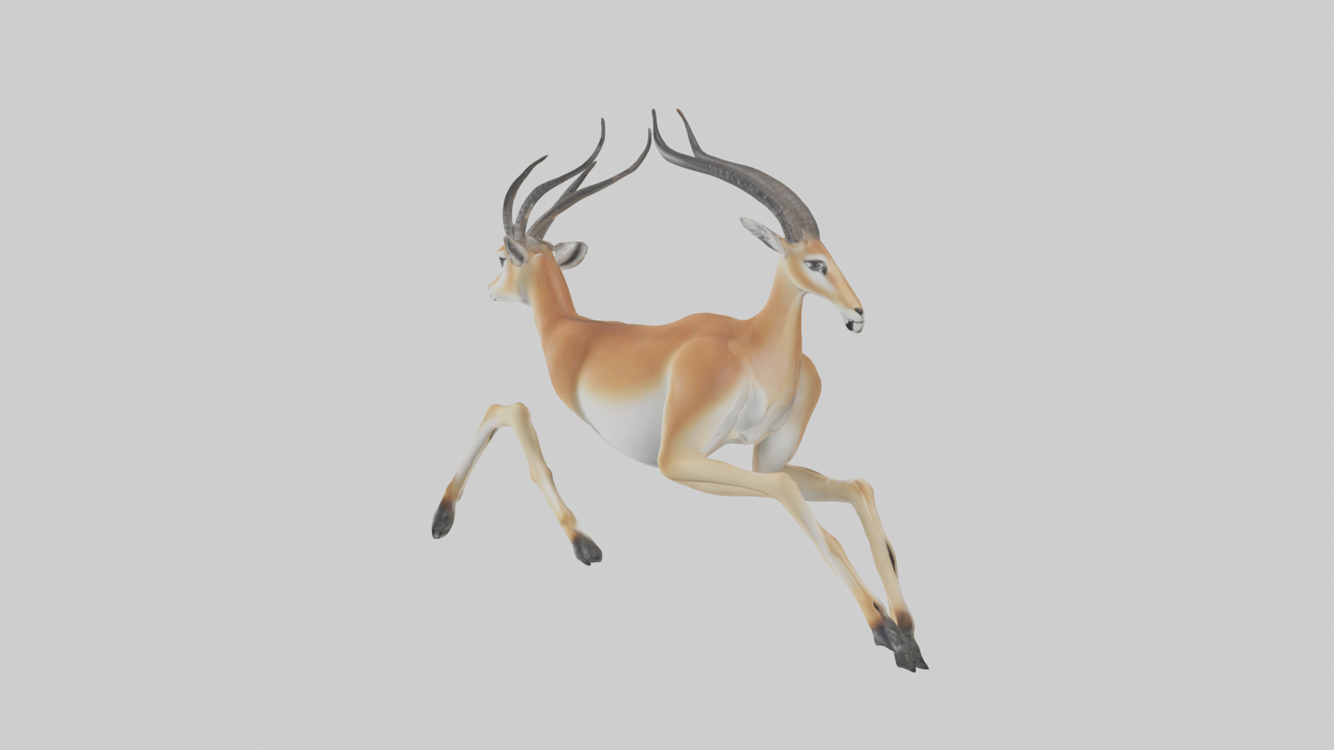 Gazelle running model 3D model_8