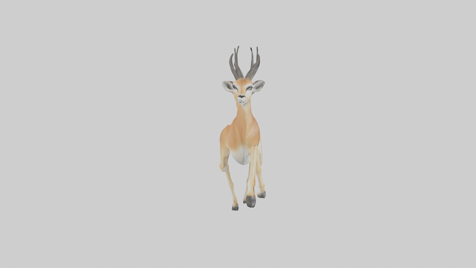 Gazelle running model 3D model_13