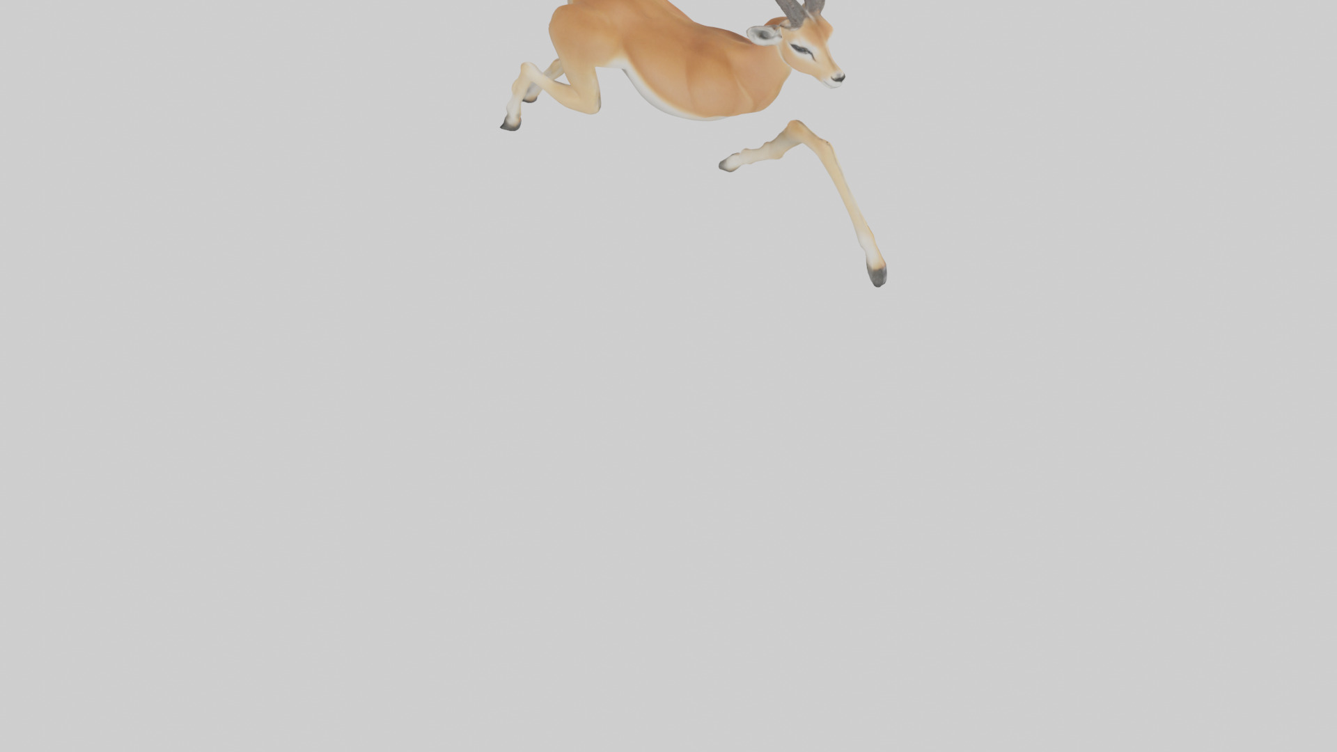 Gazelle running model 3D model_4
