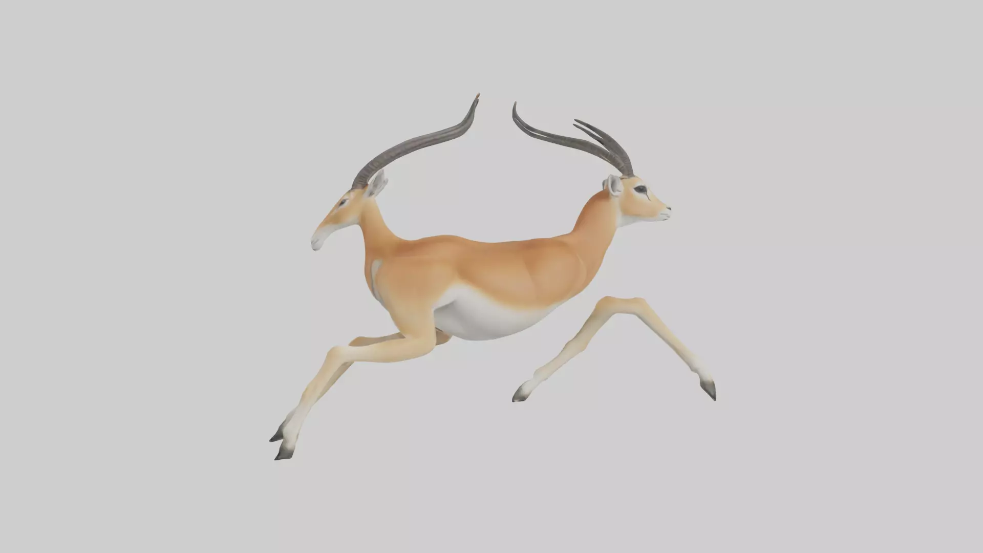 Gazelle running model 3D model_0