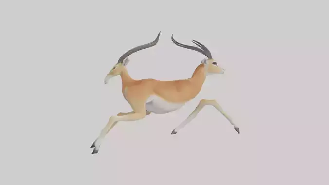 Gazelle running model