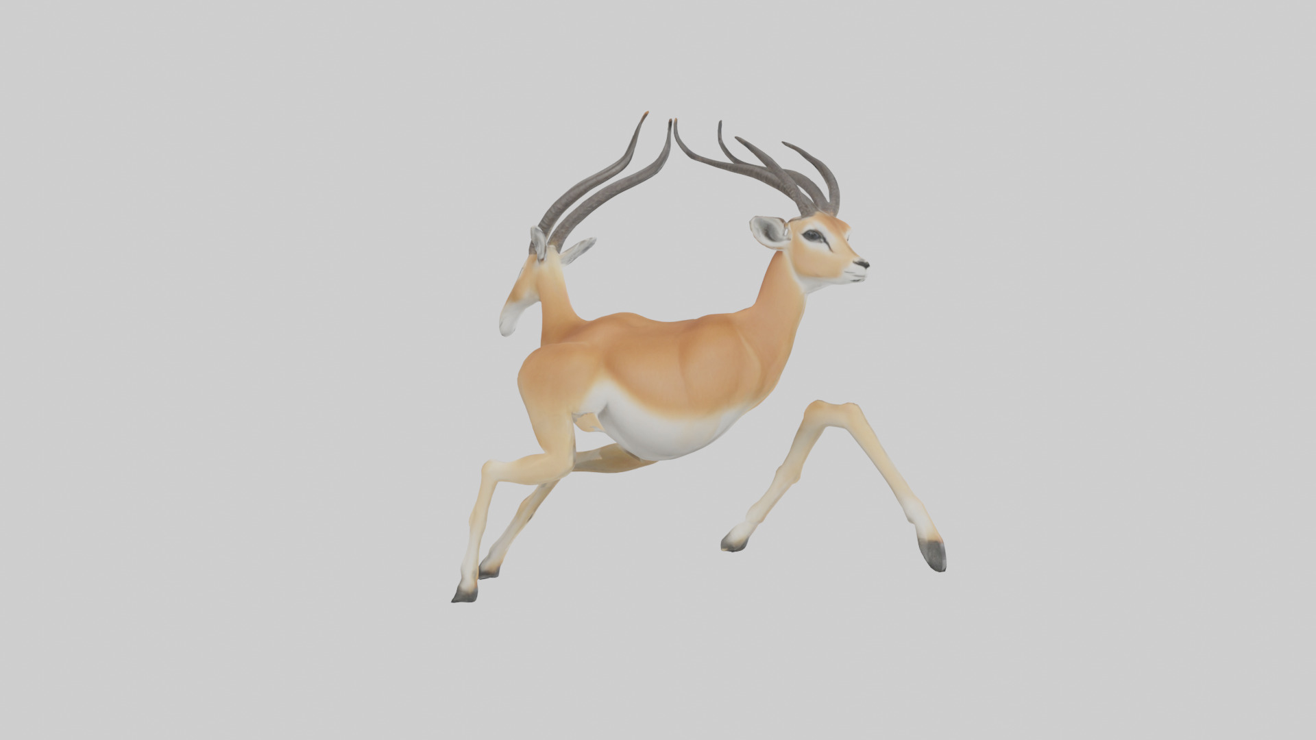 Gazelle running model 3D model_2