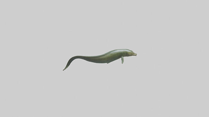 Eel swimming model 3D model 3