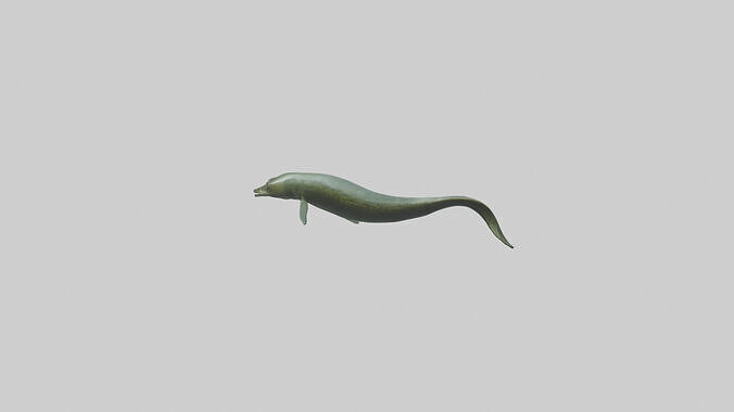 Eel swimming model 3D model 2