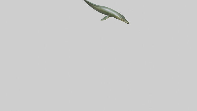 Eel swimming model 3D model 7