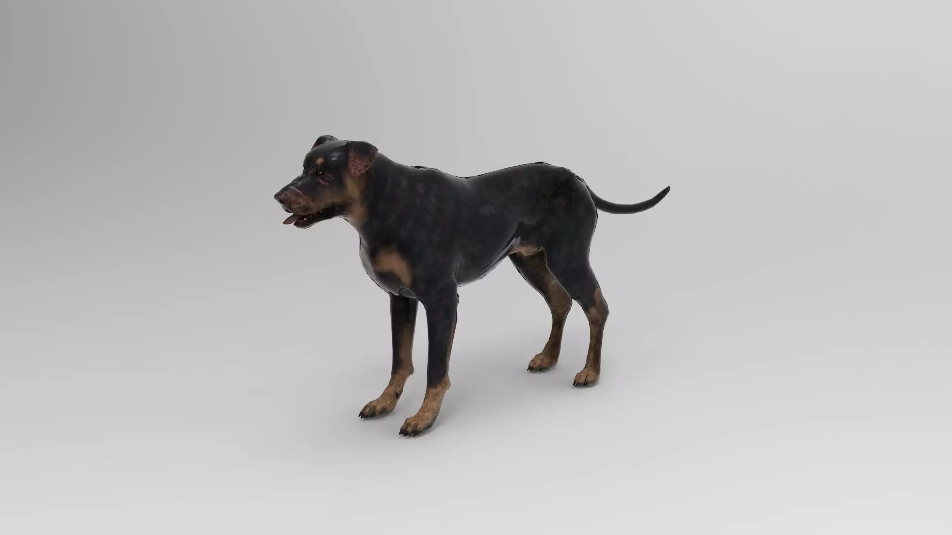 dog 7 3D model_0