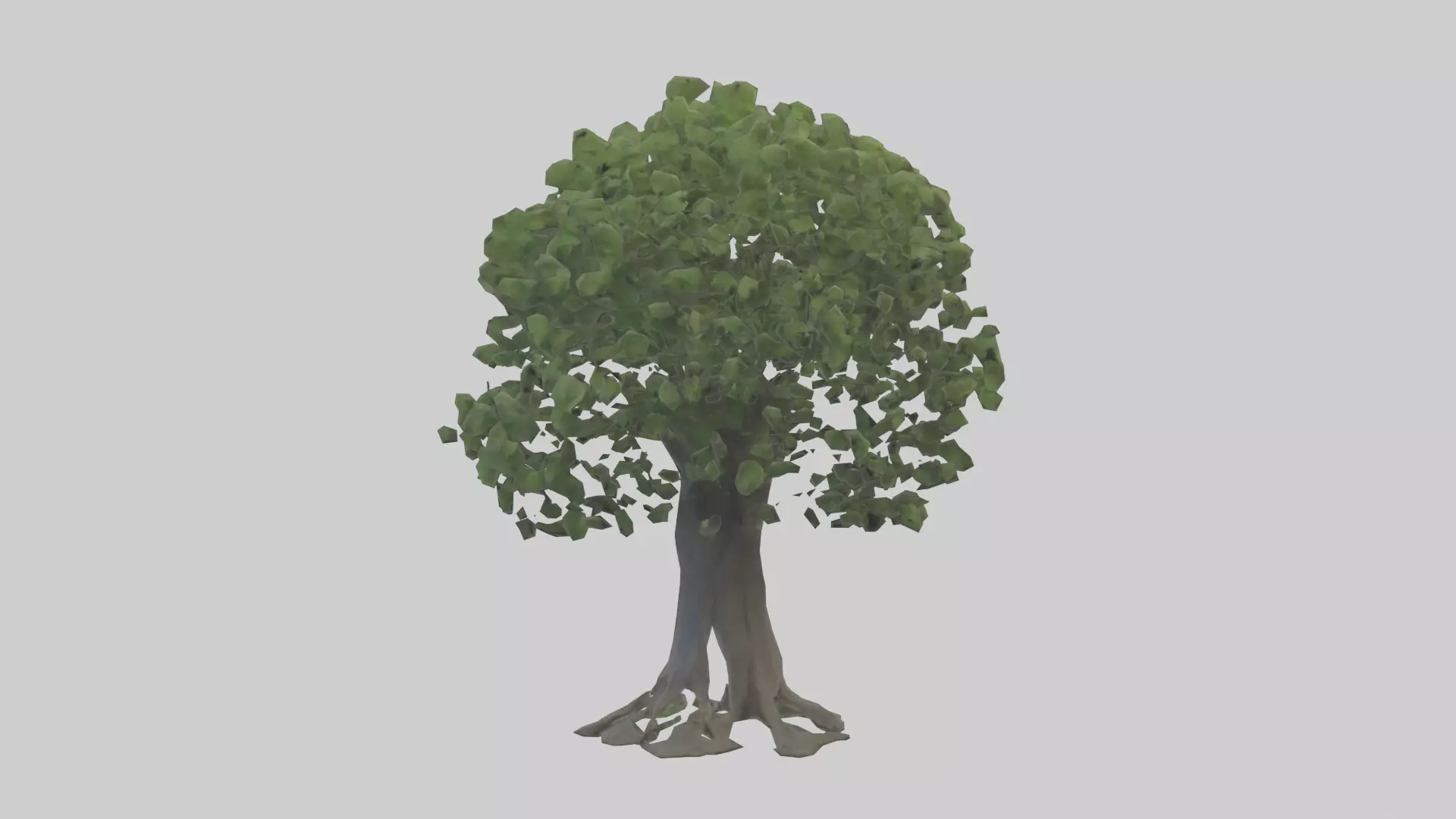 Elderberry tree model 3D model_0