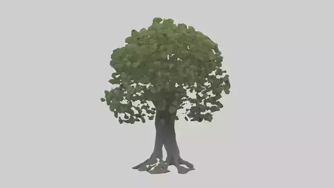 Elderberry tree model