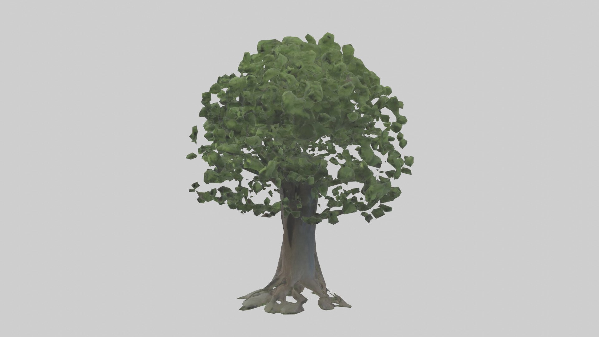 Elderberry tree model 3D model_12