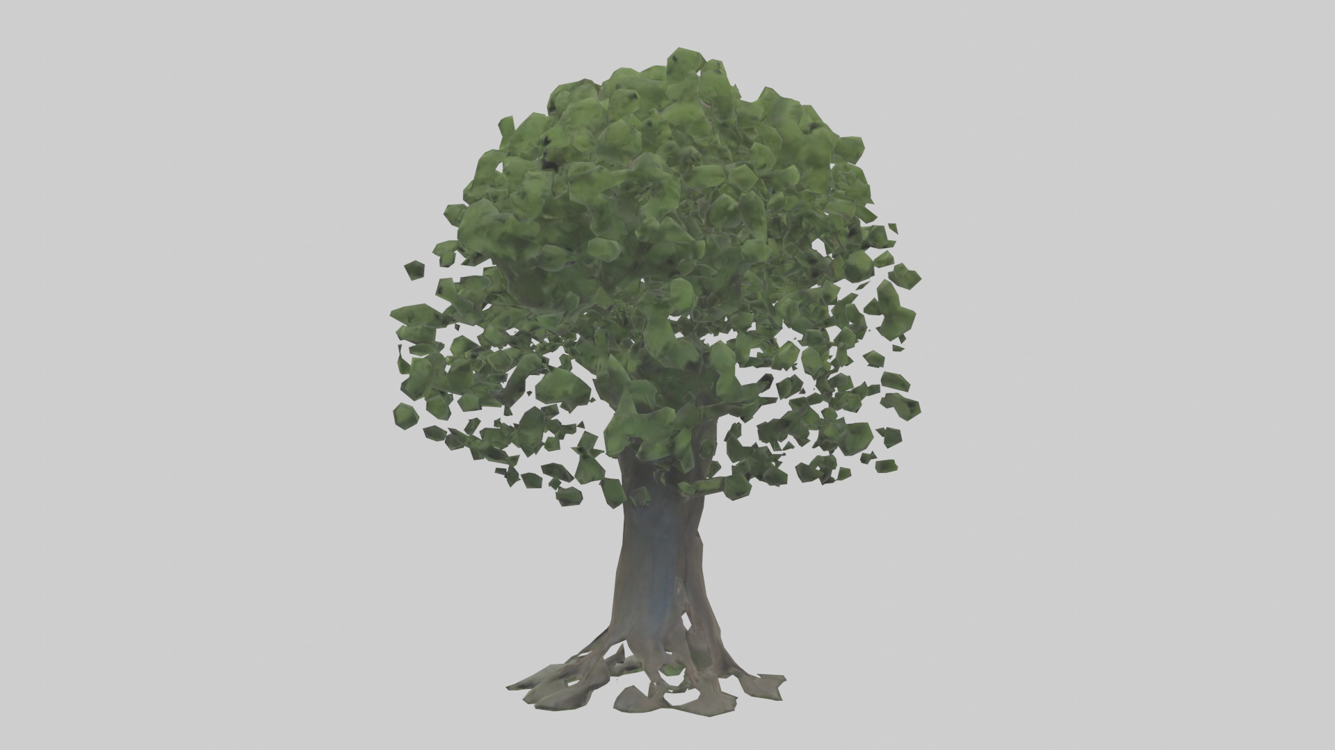 Elderberry tree model 3D model_1