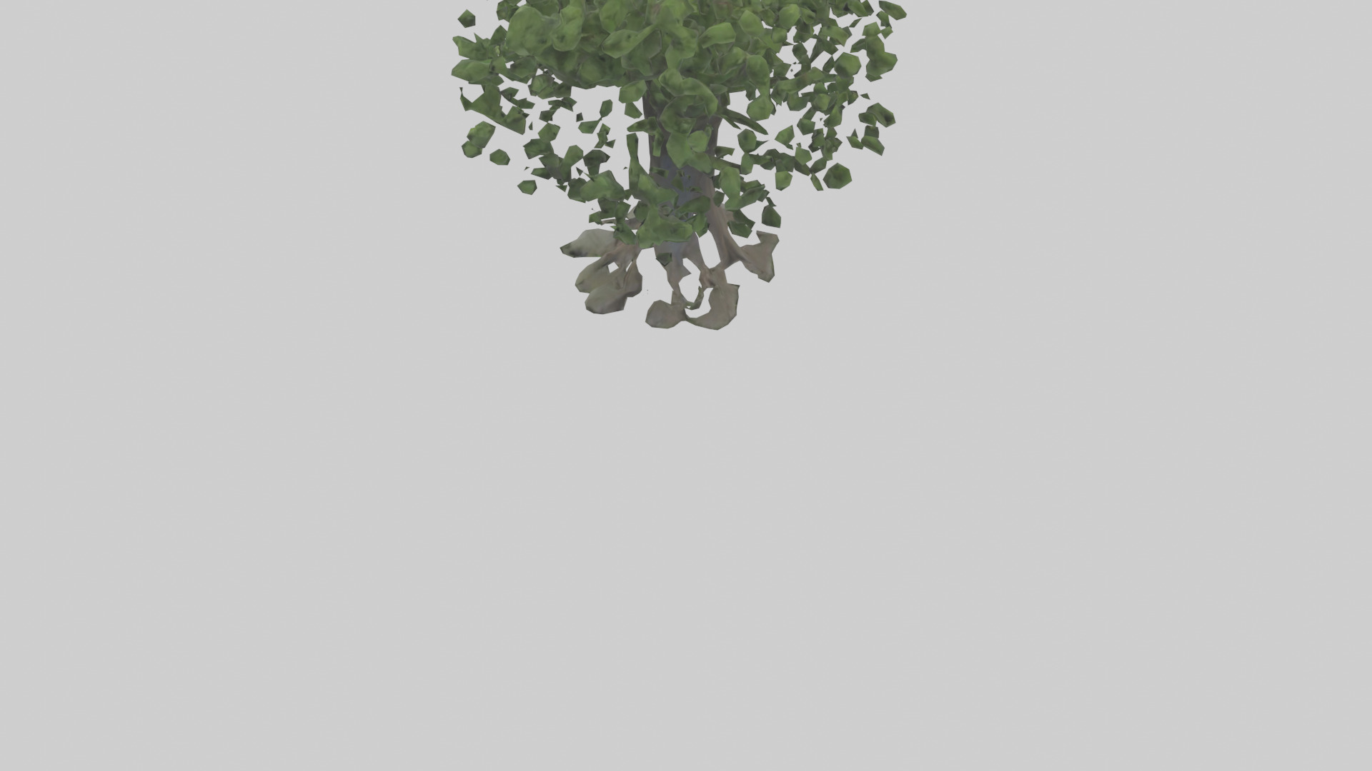 Elderberry tree model 3D model_3