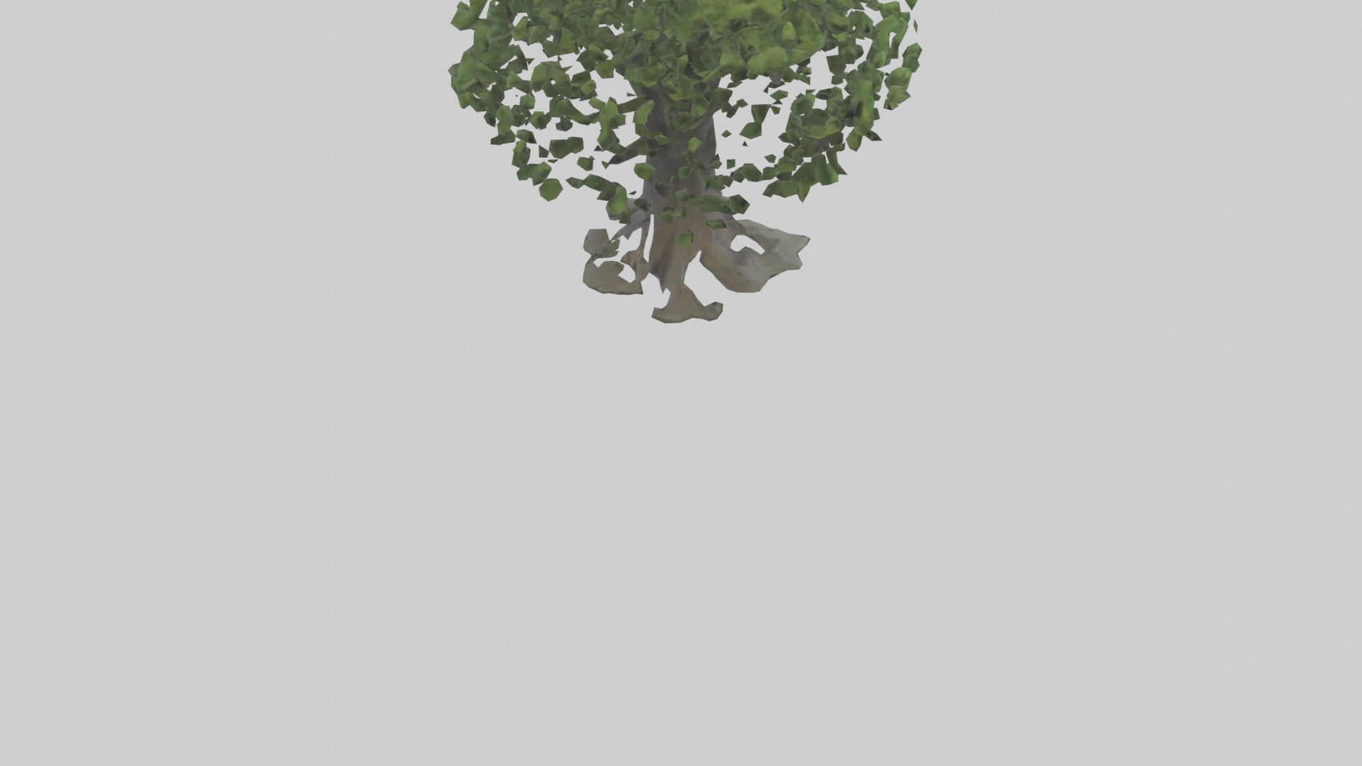 Elderberry tree model 3D model_4