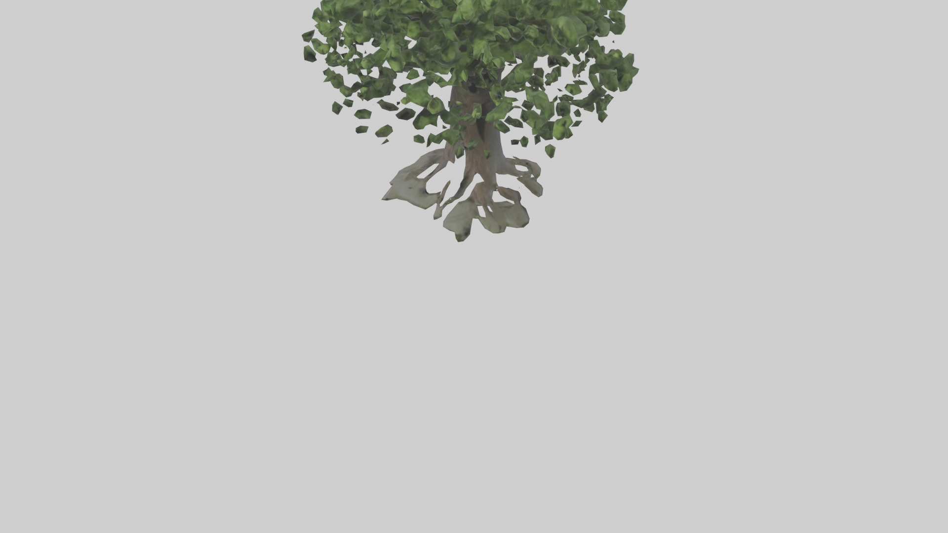 Elderberry tree model 3D model_5