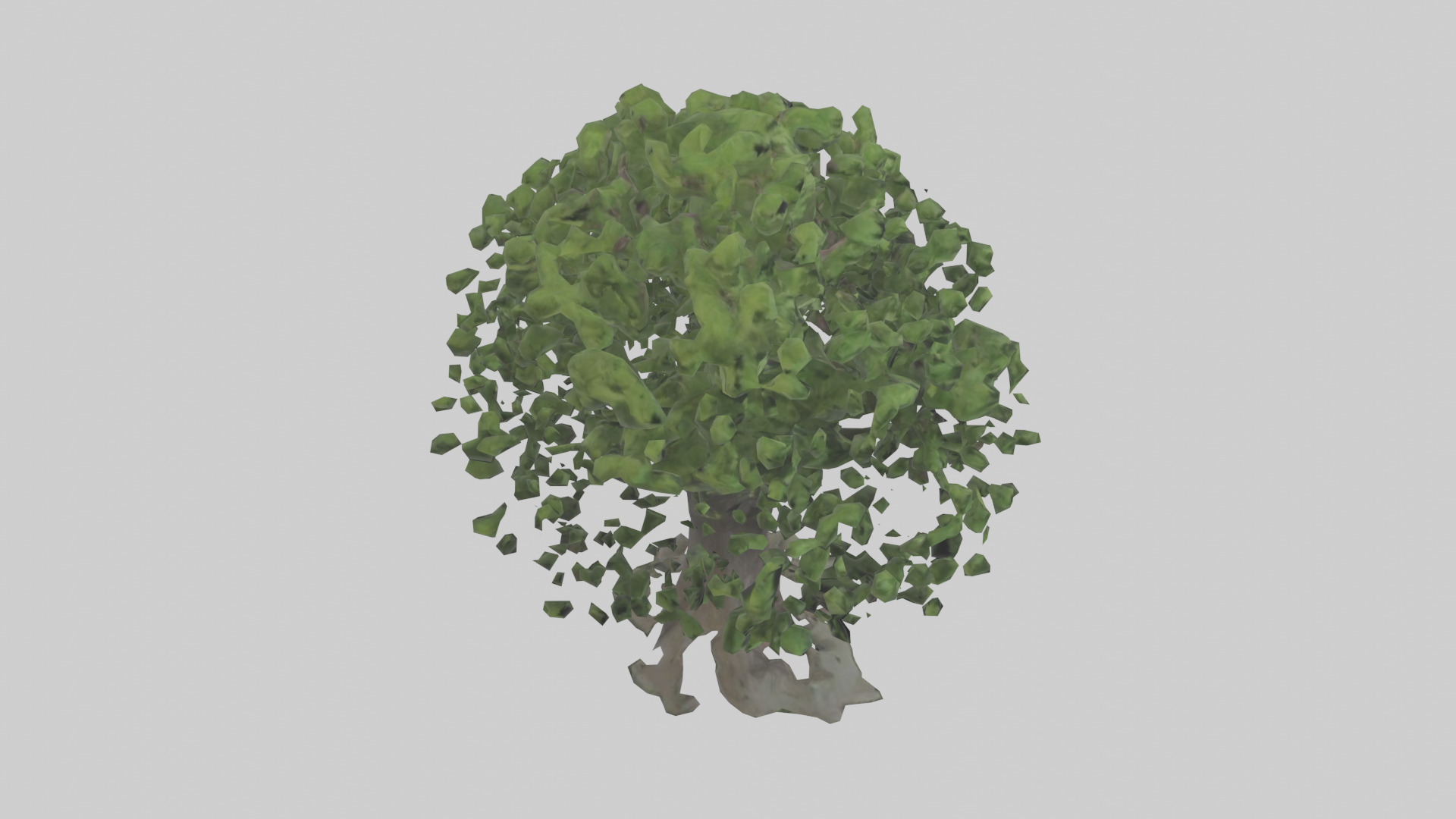 Elderberry tree model 3D model_18