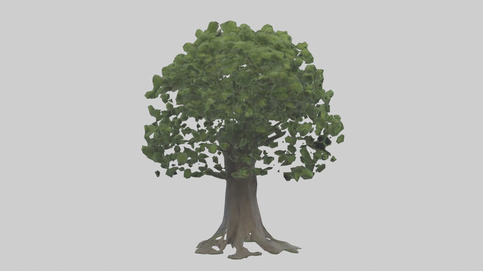 Elderberry tree model 3D model_2