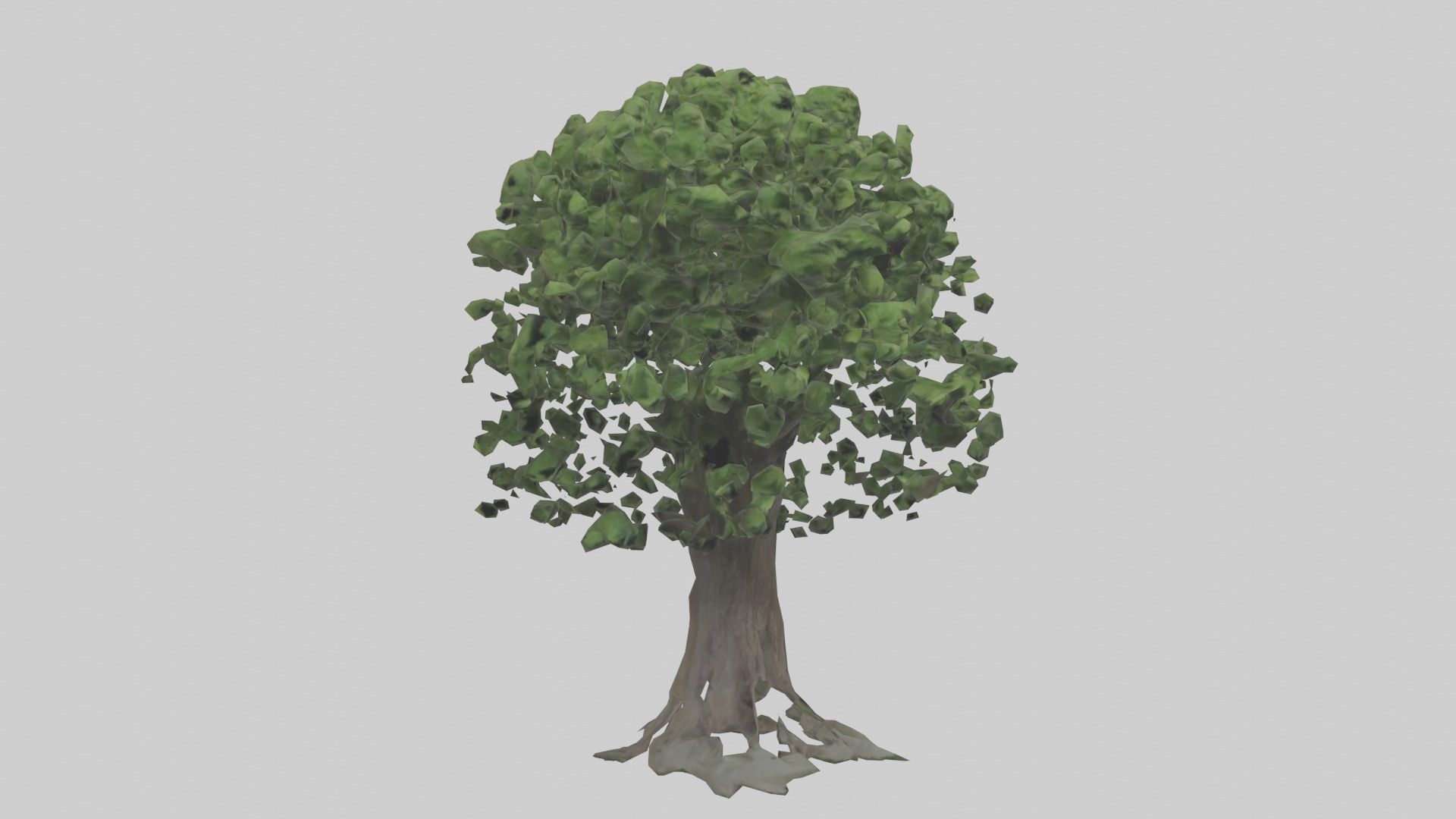 Elderberry tree model 3D model_7