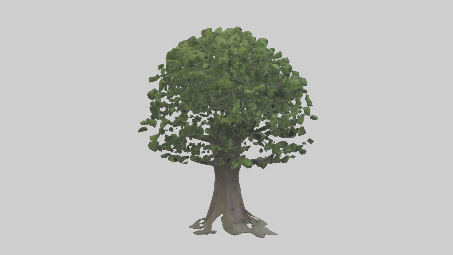 Elderberry tree model 3D model_13