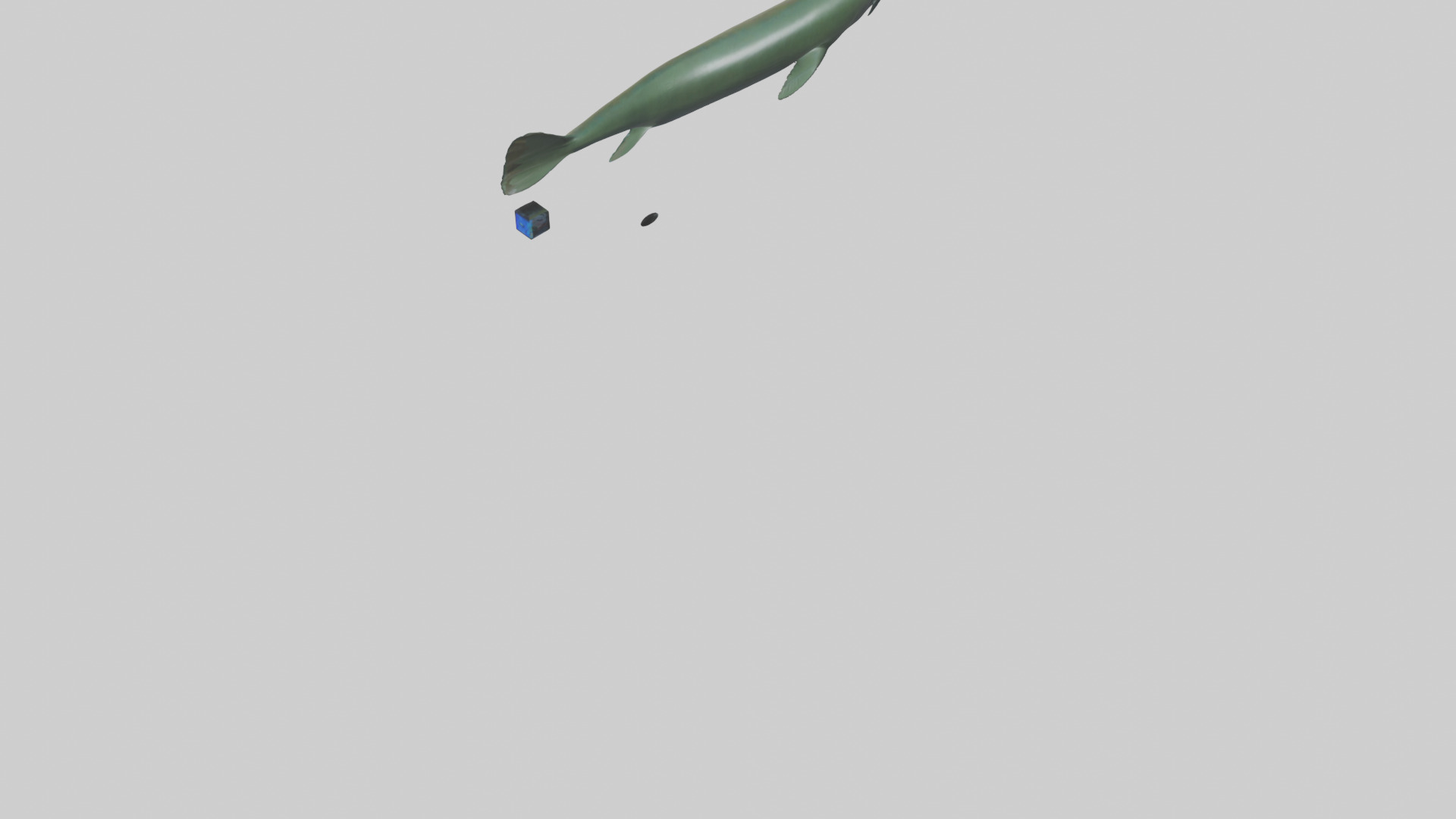Electric Eel swimming model 3D model_3