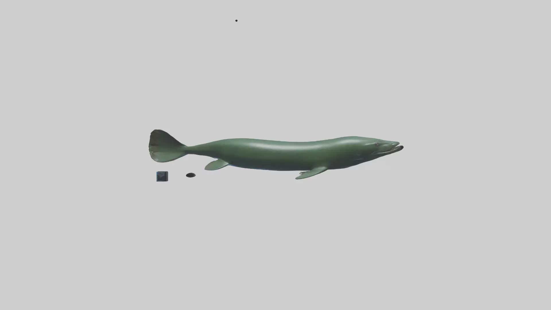 Electric Eel swimming model 3D model_0