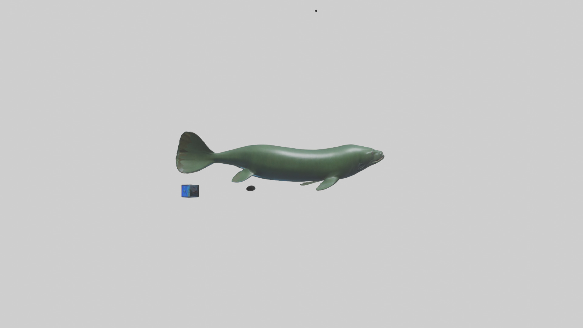 Electric Eel swimming model 3D model_1