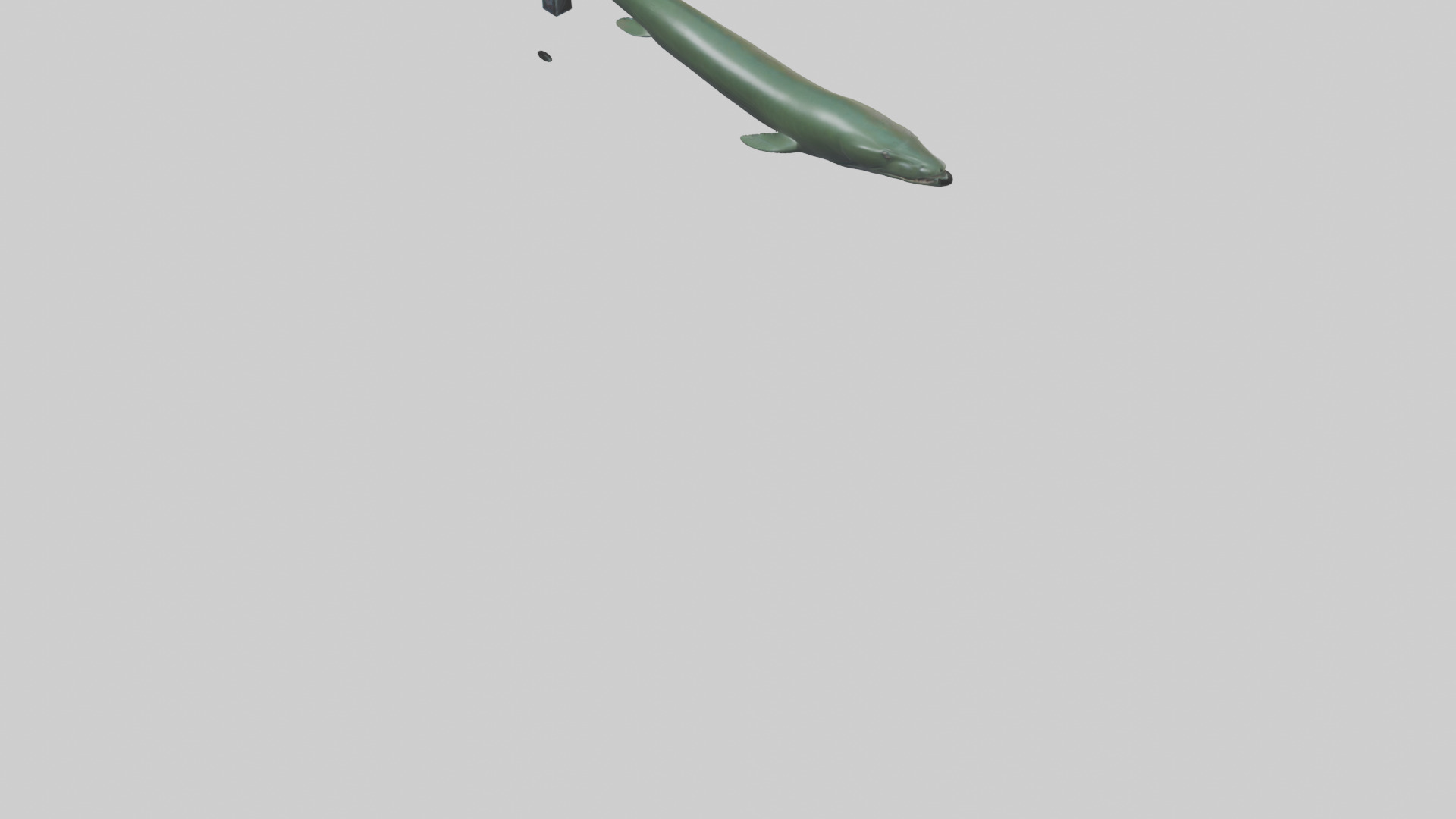 Electric Eel swimming model 3D model_4