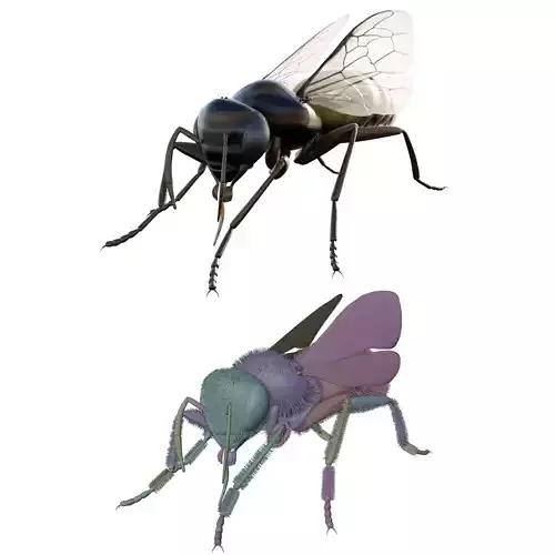 Realistic Insect 3D Model Rigged Textured PBR 4K Resolution Low-poly 3D model